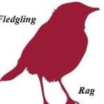 fledgling rag
